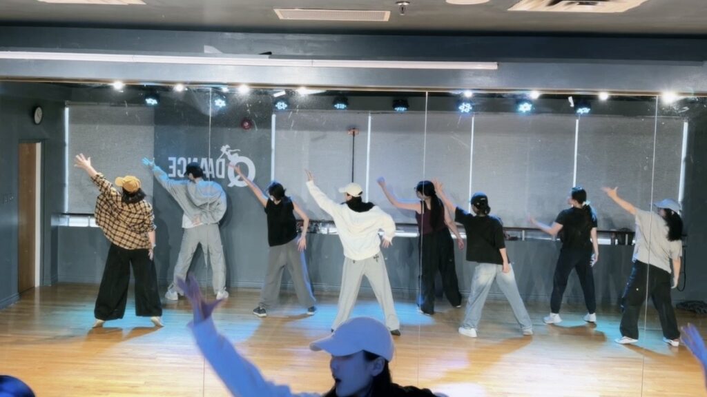 Adults Dance Classes screenshot