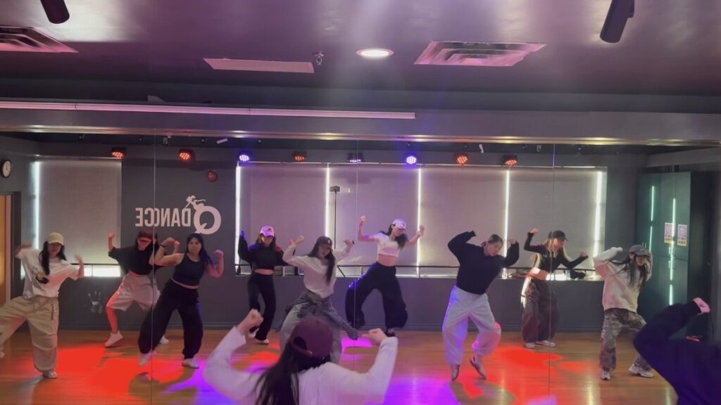 Adults Dance Classes screenshot