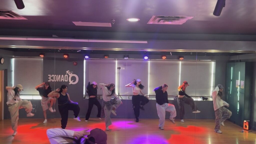 Adults Dance Classes screenshot