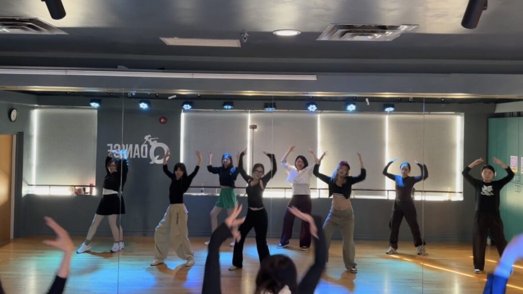 Adults Dance Classes screenshot